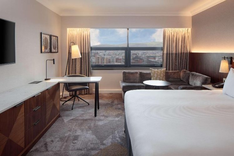DOUBLE EXECUTIVE KING BED Room