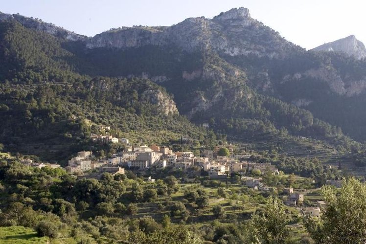 General view