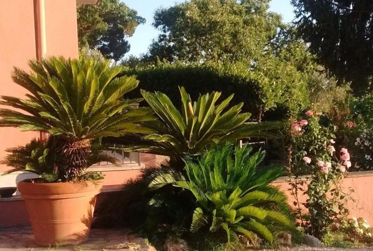 General view