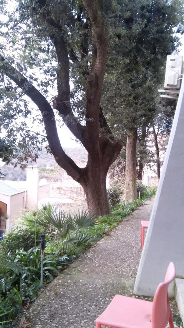 General view
