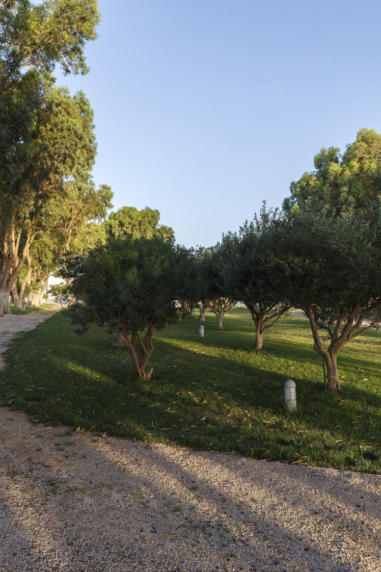 General view