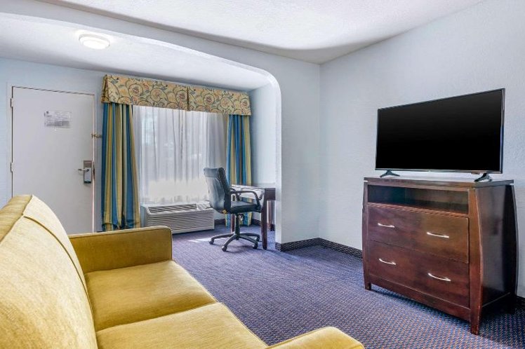 SUITE NON SMOKING Room