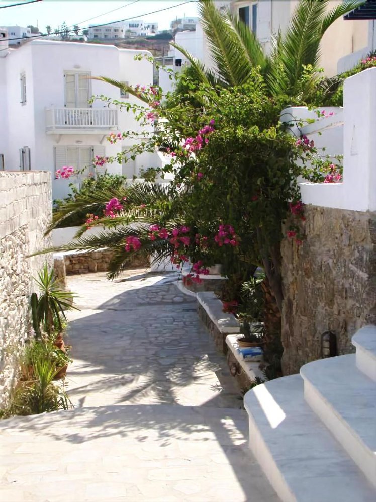 General view