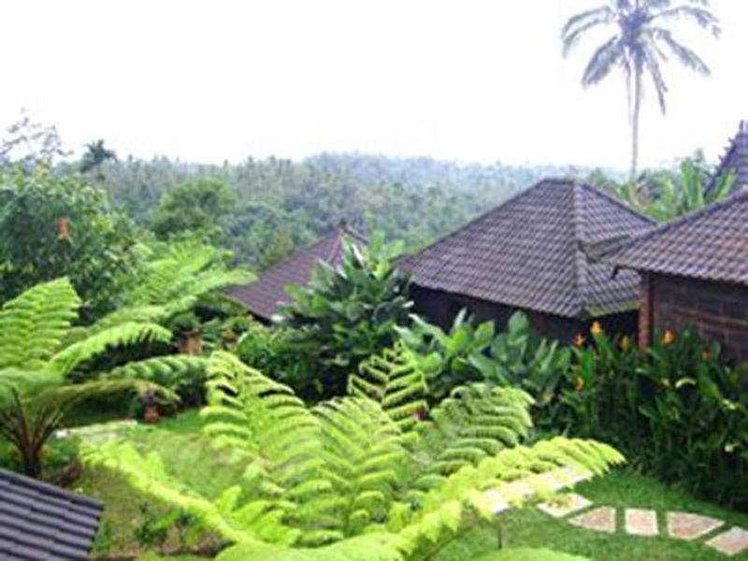 General view