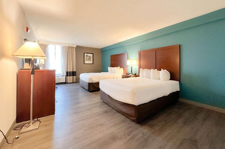 DOUBLE TWO QUEEN BEDS Room