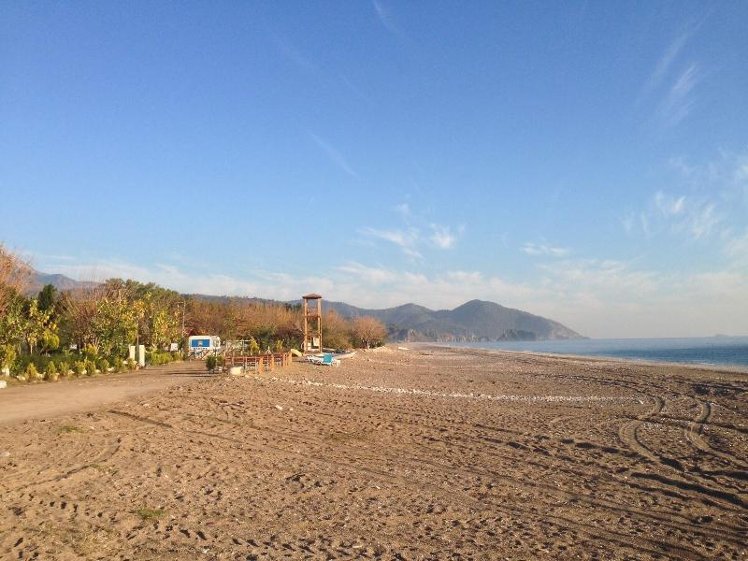 Beach