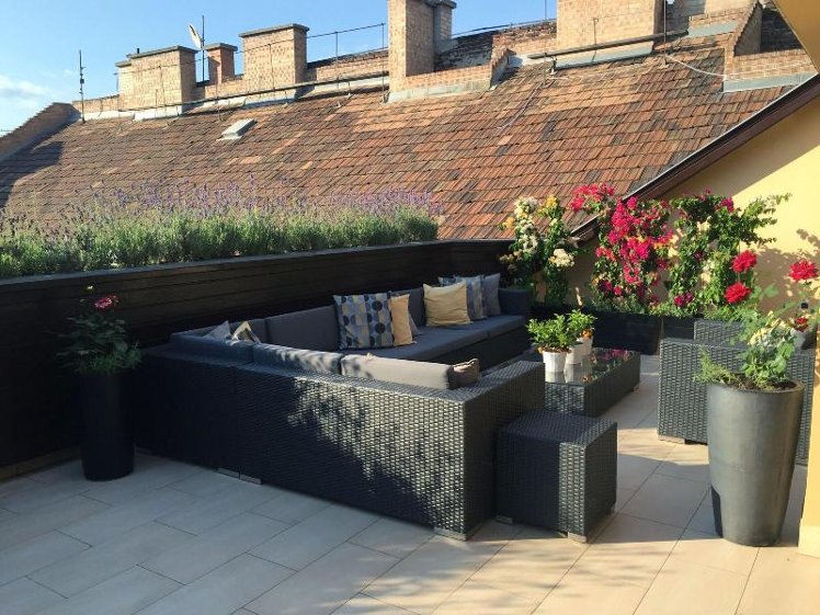 Terrace