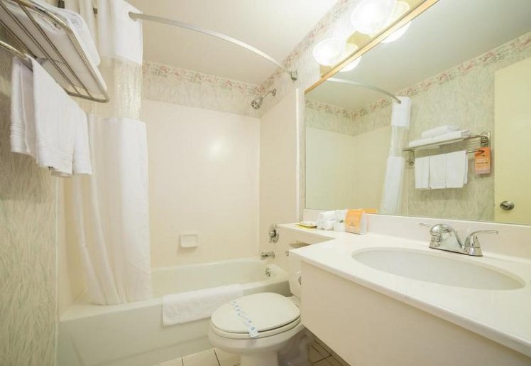 DOUBLE QUEEN SIZE BED Room