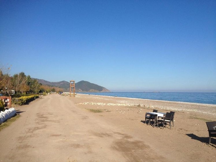 Beach