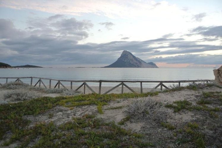General view