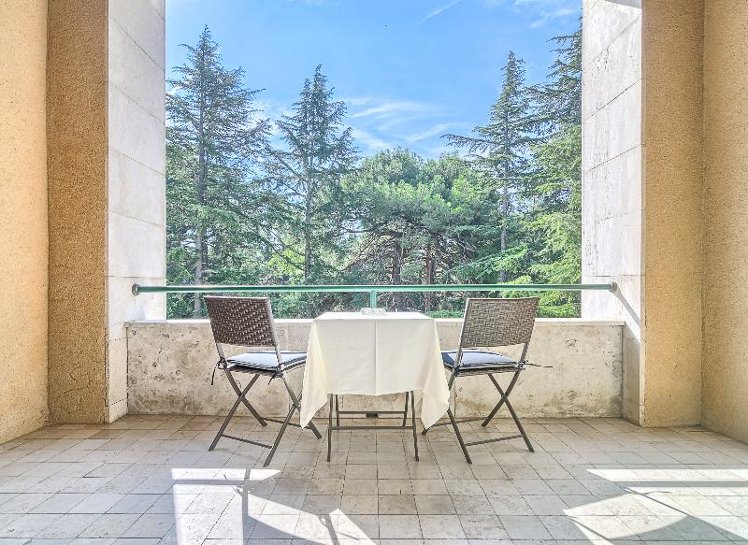 DOUBLE PARK VIEW WITH BALCONY Room
