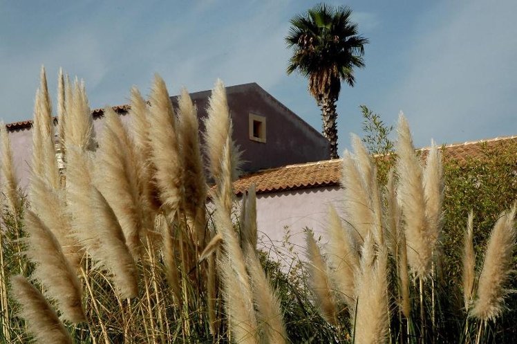 General view