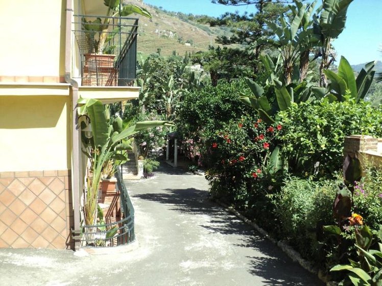 General view