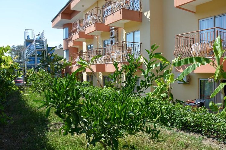 General view