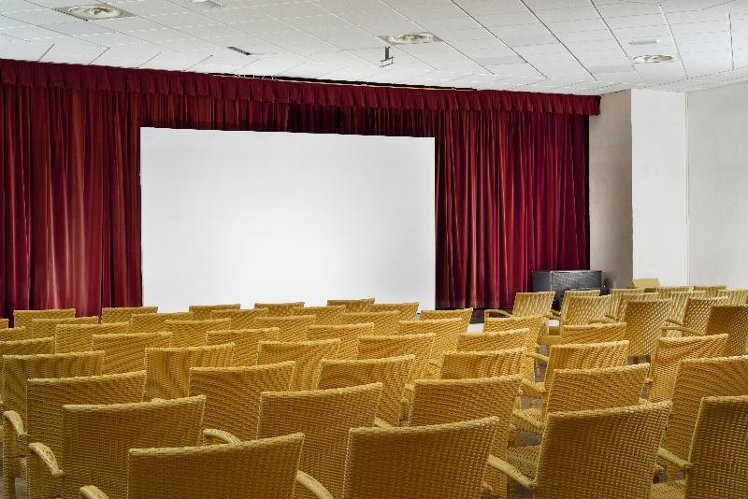 Conferences