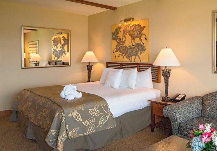 JUNIOR SUITE PARK VIEW Room