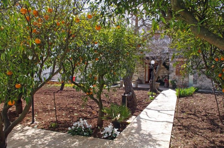 General view