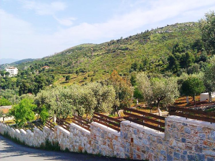 General view