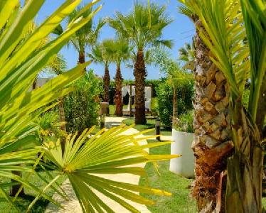 Holiday image