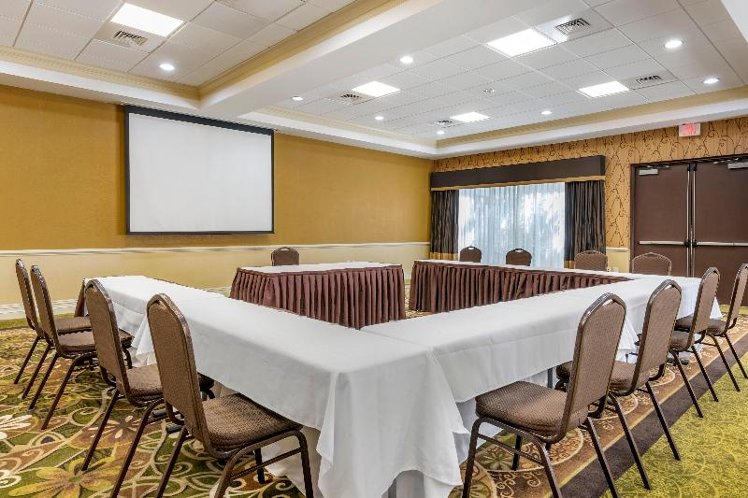 Conferences