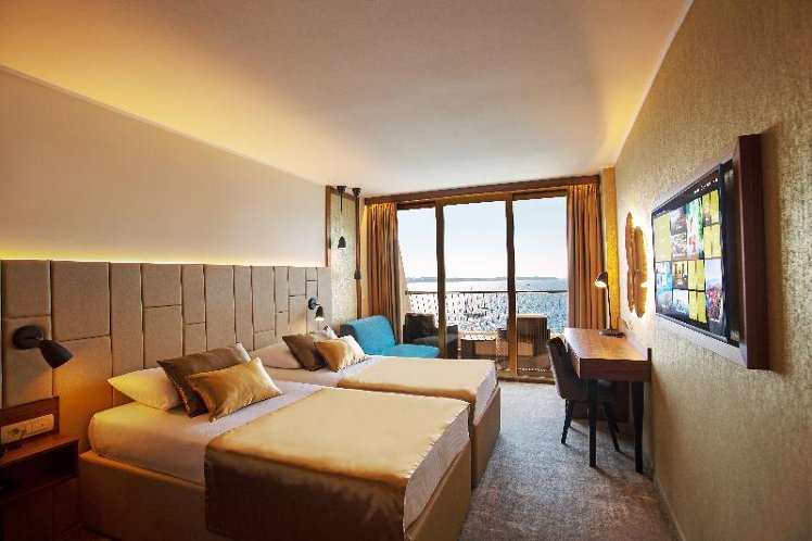 Double or Twin DELUXE Room