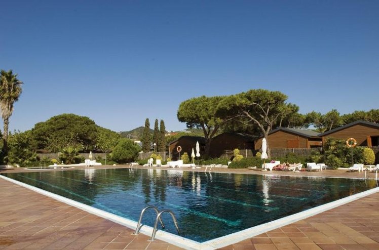 Holiday image