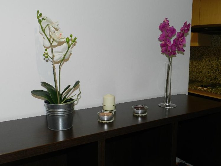 APARTMENT CAPACITY 4 Room