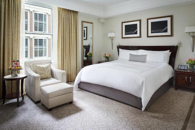 SUITE EXECUTIVE Room
