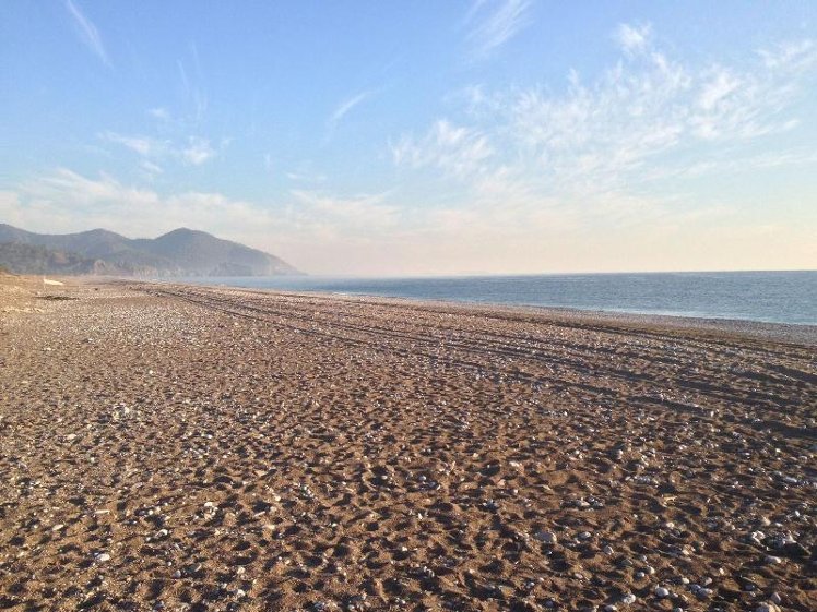 Beach