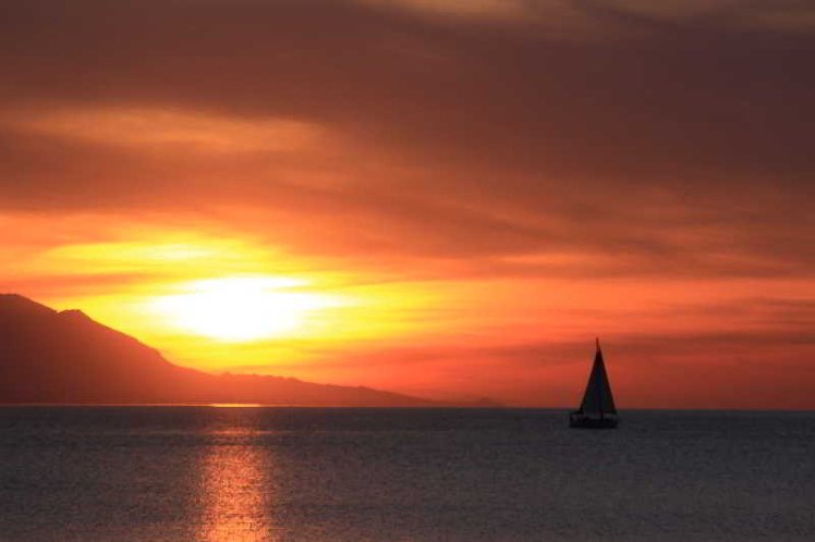 Holiday image