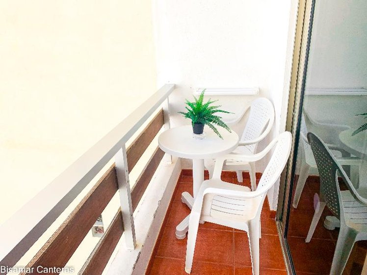 STUDIO GARDEN VIEW Room