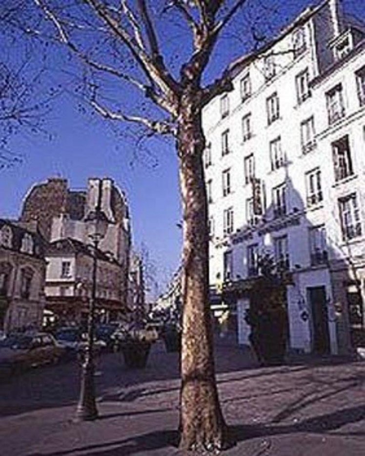 General view