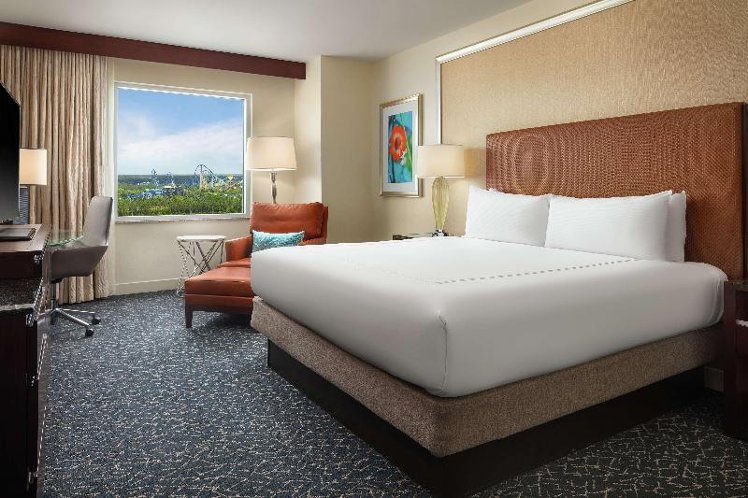 SUITE KING SIZE BED Room