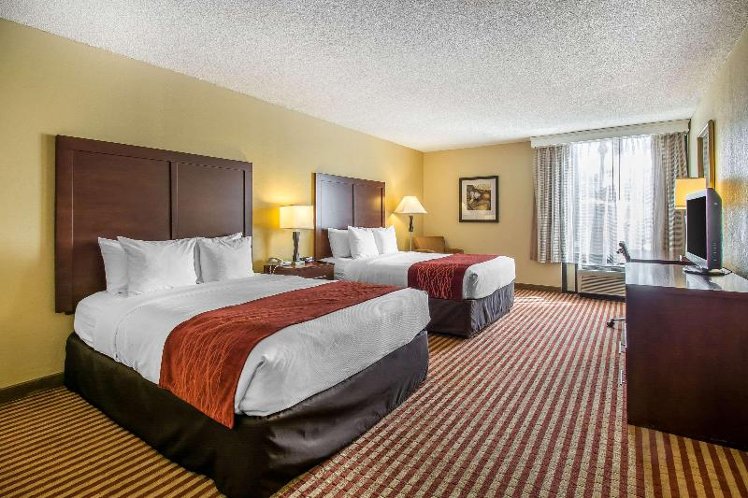 DOUBLE TWO QUEEN BEDS Room