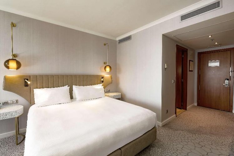 SUITE PARTIAL SEA VIEW Room