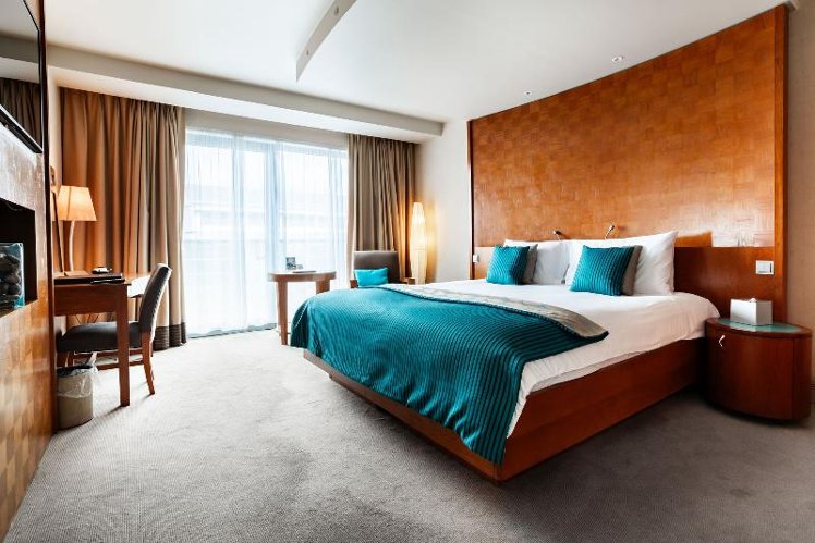 DOUBLE SUPERIOR Room