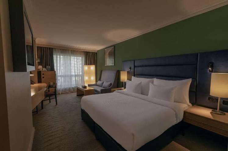 DOUBLE EXECUTIVE KING BED Room