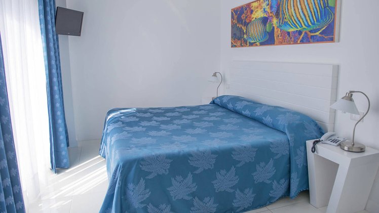 DOUBLE CLASSIC WITH TERRACE Room