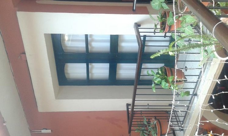 TWIN STANDARD Room