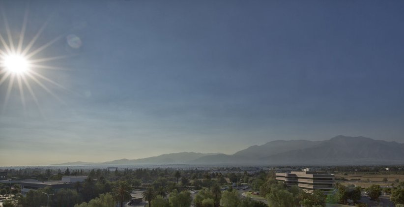 Slide image
