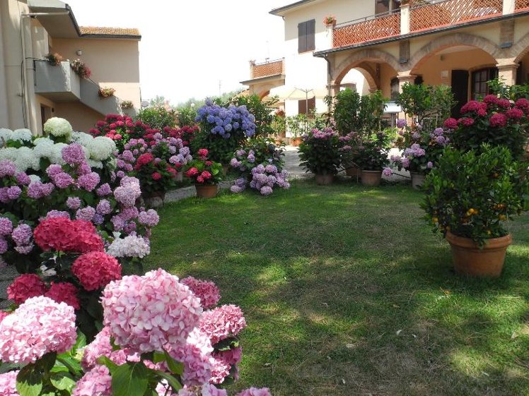 General view