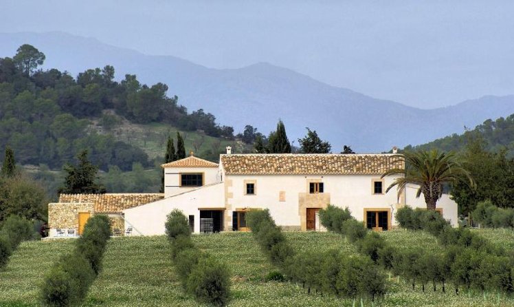 General view