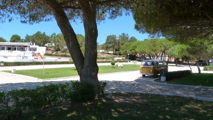 General view