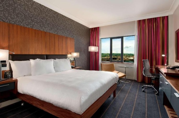 DOUBLE EXECUTIVE KING BED Room
