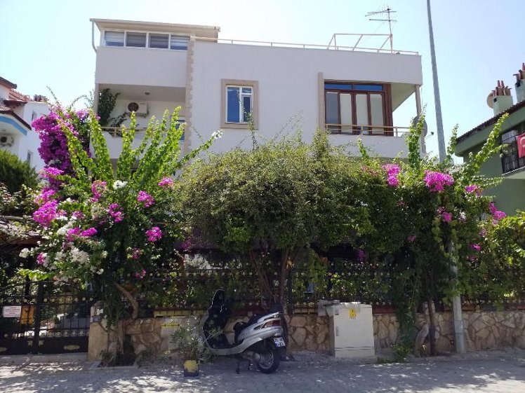 General view