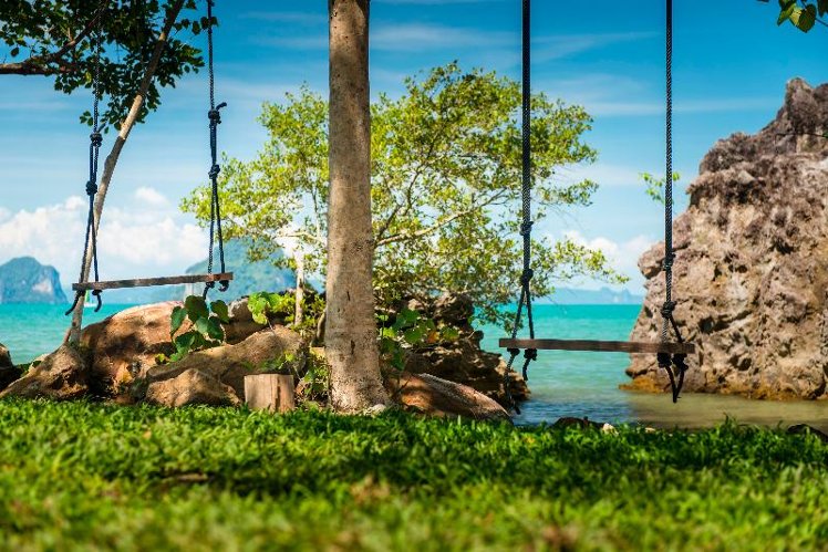 Holiday image