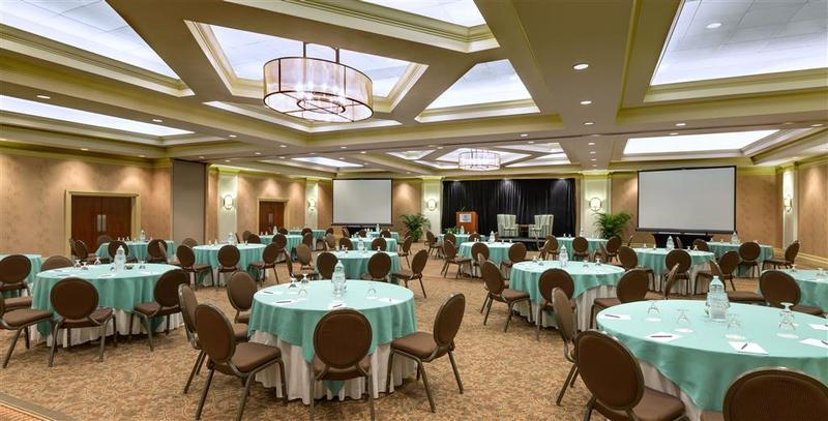 Conferences
