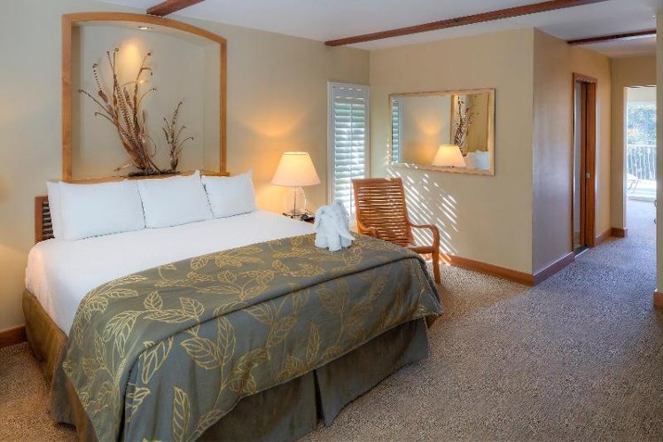 SUITE EXECUTIVE KING BED Room