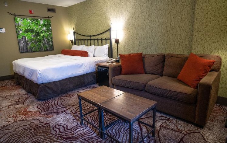 DOUBLE KING SIZE BED Room