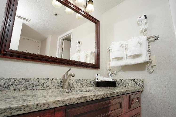 SUITE DELUXE ONE BEDROOM Room